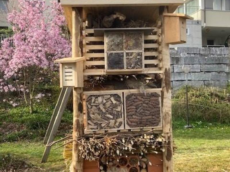 Lebensturm Ebikon Bulban März 2026