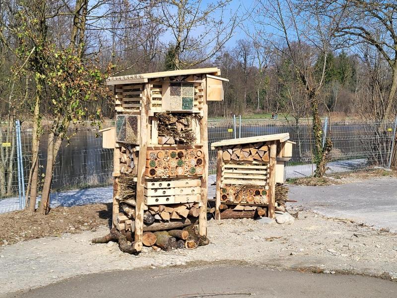 Lebensturm Dietikon März 2026