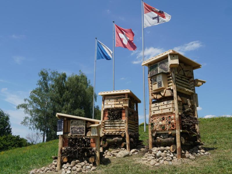 Lebensturm Opfikon Juli 2025